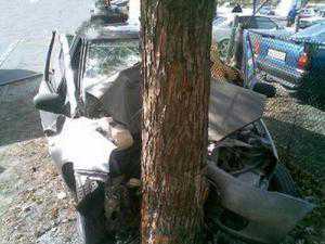 В Крыму водитель иномарки погубил своего пассажира, врезавшись в дерево