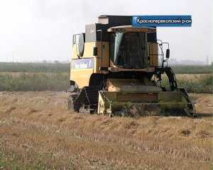 Урожайность риса в автономии – рекордная