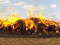 В Белогорском районе у сельчанина сгорело 2 тонны сена
