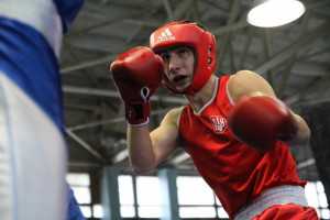Крымские боксеры выиграли 3 медали на чемпионате Украины