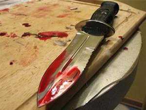 Севастопольский дачник убил соседа, изрезав ему грудь ножом