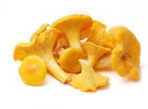 Токсиколог советует крымчанам отказаться от грибов