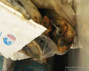 Милиция уберегла крымчан от консерв из просроченной рыбы