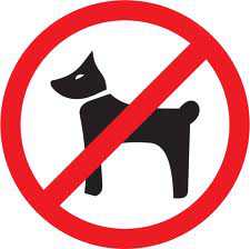 В Керчи пенсионерку наказали штрафом за выгул собак на 340 гривен