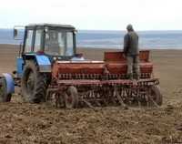 Аграрии Крыма засеяли озимыми 90% планируемых площадей