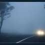 ГАИ предупредила о туманах на дорогах в ближайшие дни
