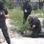 СБУ и милиция поймали в Севастополе банду наркоторговцев