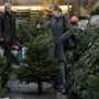 В Столице Крыма откроют 50 точек торговли новогодними елками