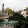Новогоднюю елку в Севастополе установят к 14 декабря