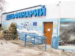 Севастопольский дельфинарий никто не собирается выселять