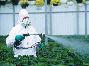 Крым полностью очистили от пестицидов