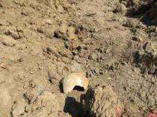 В Крыму продолжают раскапывать братские могилы