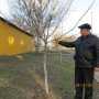 Керчанину, посадившему более 120 деревьев, пригрозили штрафом
