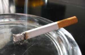 Народные избранники запретили всей стране курить в общественных местах, но сами дымят в парламенте