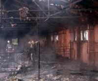 На пожаре на ферме в Крыму погибли 148 свиней