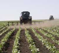 Приоритетом развития Крыма объявили сельское хозяйство