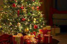 В Ливадии пройдут благотворительные праздники «Царские елки»