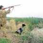 В Крыму начала работу единая электронная карта охотничьих угодий