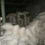 Сотрудники ветеринарной милиции выявили в Бахчисарайском районе подпольный мини-кормоцех