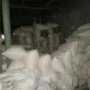 В Бахчисарайском районе прикрыли подпольный кормоцех