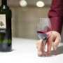Австрийские депутаты приедут в Крыму дегустировать вино и вкусно кушать