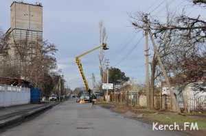 В Керчи 25-метровый тополь мог упасть на жилые дома