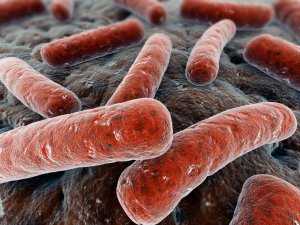 Туберкулезом в Керчи может заболеть каждый, — эксперт