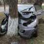 В Керчи автомобиль врезался в дерево