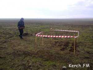 В деревне под Керчью нашли 30 снарядов