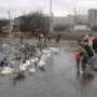Жителей Севастополя попросили не дать перелетным птицам погибнуть от голода