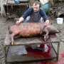На Западной Украине зарезали свинью по кличке Янык
