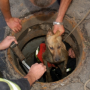В Черноморском спасатели доставали пса из глубокого колодца