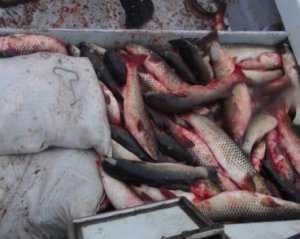 В Керчи пограничники поймали браконьеров с 1,5 тоннами рыбы