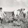 Глава оппозиционного правительства: Аграрный сектор Крыма рухнул ниже показателей 1913 года
