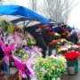 В Евпатории “цветочников” переселят в современный торговый комплекс