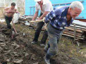 В Крыму на производстве пострадали больше двадцати аграриев: один погиб