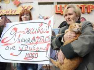 Зоозащитники пикетировали магазин, торгующий шкурами котов