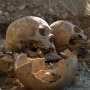 В Севастополе проведут дополнительную экспертизу останков из массового французского захоронения