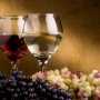В сентябре в Феодосии проведут «WineFeoFest»