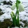Климатическая весна придёт в Крым в марте
