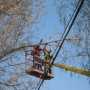 Из-за неосторожности селян два села в Крыму остались без электричества