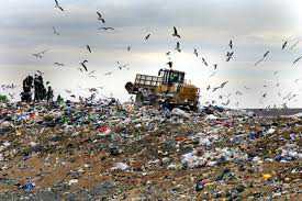 Симферополю угрожает мусорный коллапс: полигон ТБО переполнен