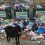 Погряз в долгах: «Чистому городу» некуда выбрасывать мусор