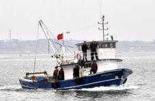 Капитан турецкой шхуны заплатит за попытку лова в украинских водах черноморского калкана