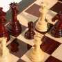 Летом в Керчи пройдёт шахматный фестиваль «Боспор»