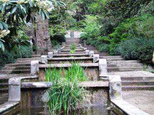 В Никитском саду устроят парк приключений