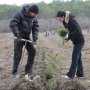 Спортсмены и общественники посадили 12 га леса возле Бахчисарая