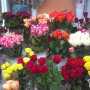 8 марта — радость не из дешевых, — предложения цветочных рынков Симферополя