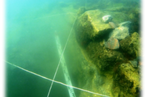 Под Керчью появится подводный музей