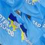 Внеочередные выборы в Ялте и Феодосии завершились победой «регионалов»